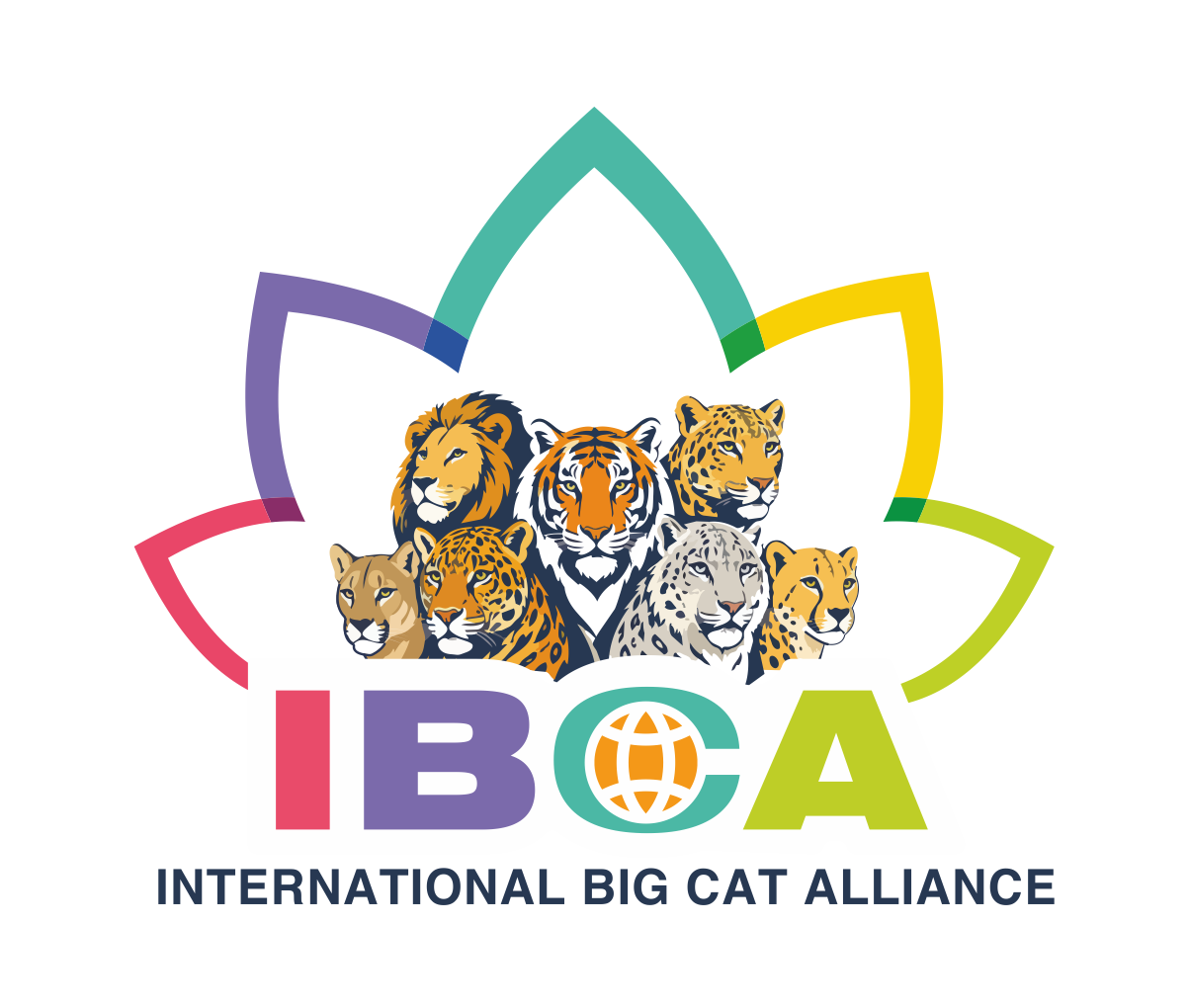 IBCA Logo